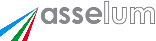 https://ledpadel.com/wp-content/uploads/2023/03/logo-asselum.png